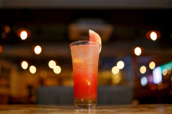 Chilled Watermelon Cooler with Fresh Garnish