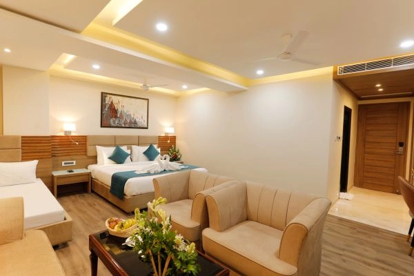 Suite Room Sofa Seating Area